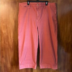 Madewell Curvy Slim Emmett Wide-Leg Crop Pants in New Copper | Women’s Plus 35